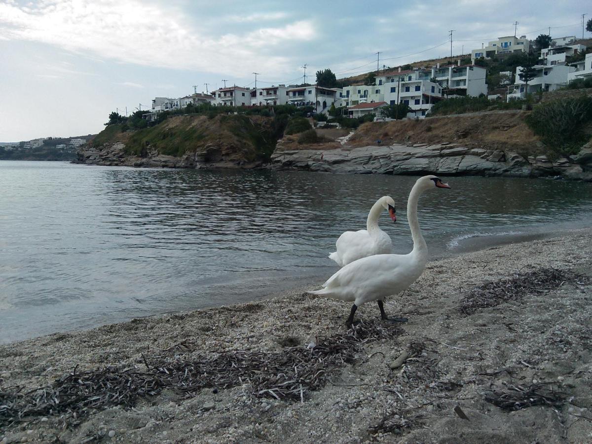 Villa Bonatsa Andros Home Batsíon Eksteriør bilde