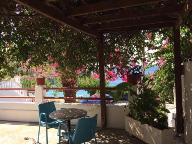 Villa Bonatsa Andros Home Batsíon Eksteriør bilde
